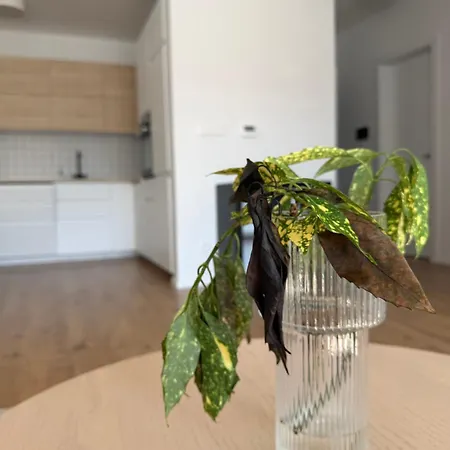 Apartment Bazova In Center With Private Garage Parking Pressburg